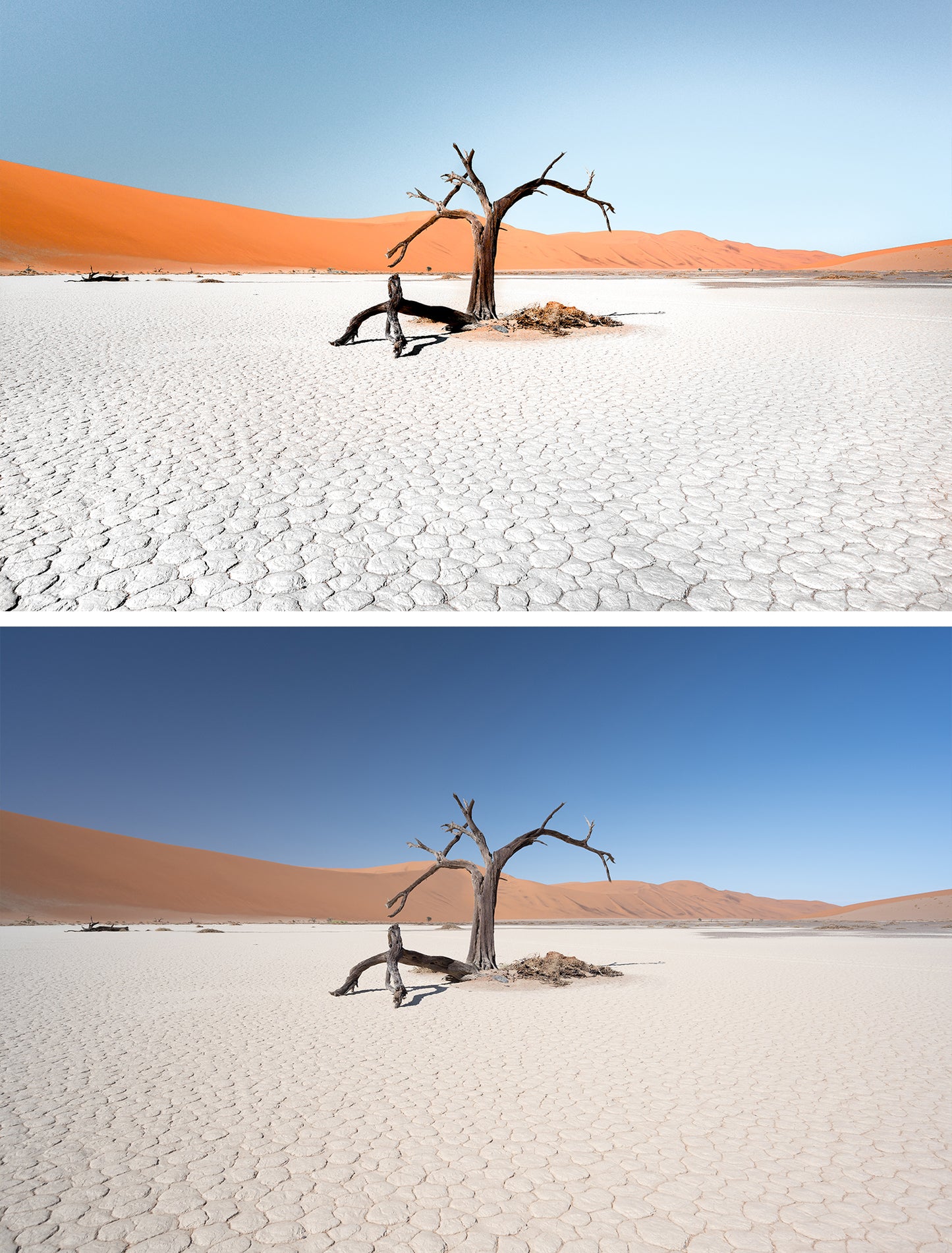 The Master Collection