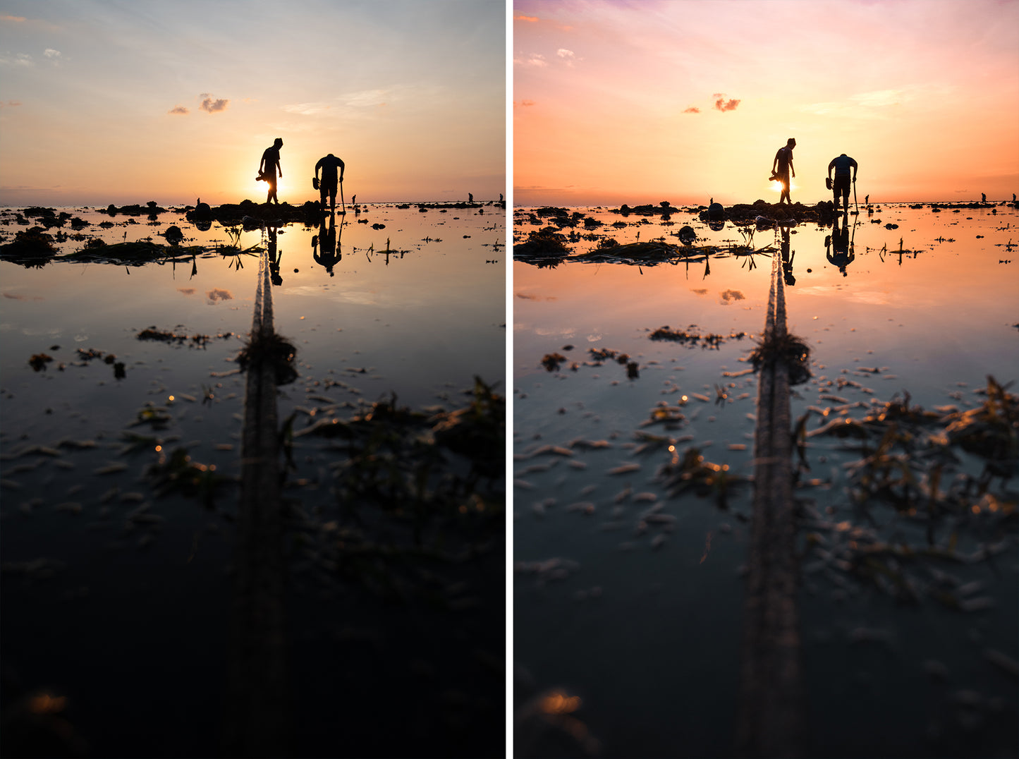 Tropical Getaway Collection