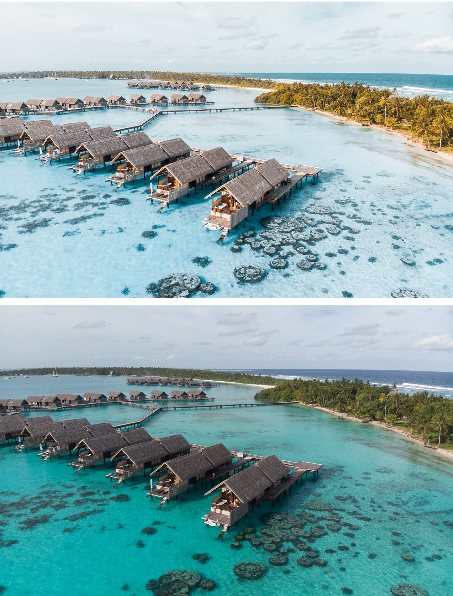 The Master Collection