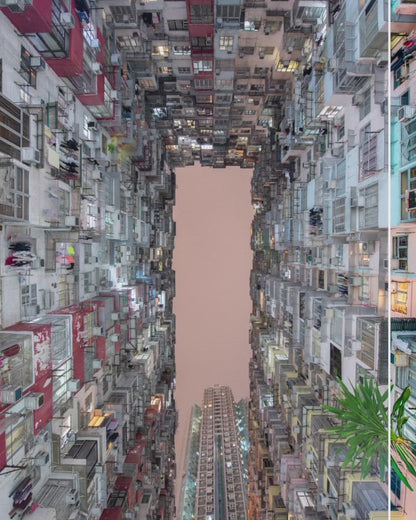 City Lights Collection