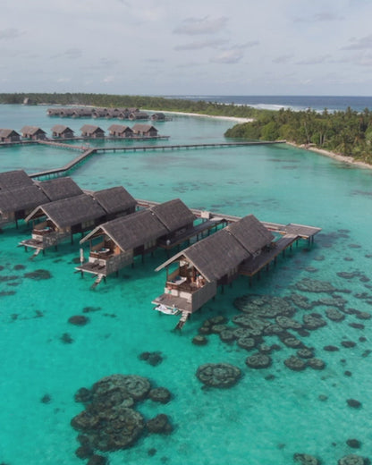 Tropical Getaway Collection